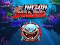 Act Fast Before the Razor Shark Tournament at LeoVegas India Ends this Week